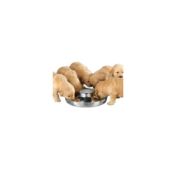 Proselect PS Puppy Dish 14.5In