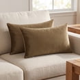 thumbnail image 2 of REGALWOVEN Pack of 2 Velvet Decorative Throw Pillow Covers Modern Cushion Covers with Zipper Brown 20" x 20", 2 of 7