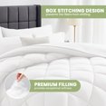 thumbnail image 5 of Twin Bed in a Bag Comforter Set with 5 Pieces for Girls and Boys White All Season Bedding Sets with Comforter, Pillow Sham, Flat Sheet, Fitted Sheet and Pillowcase, 5 of 9