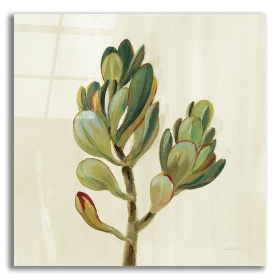 Epic Art 'Front Yard Succulent II' by Silvia Vassileva, Acrylic Glass Wall Art, 12"x12"