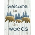 thumbnail image 2 of Nan 15x18 Black Ornate Wood Framed with Double Matting Museum Art Print Titled - Welcome to the Woods, 2 of 4