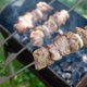thumbnail image 4 of Brocheta 10 Uds. Pinchos planos para barbacoa Ti, pinchos para exteriores, patio trasero, Picnic, barbacoa, parrilla, Kabob, palos para barbacoa, 4 of 6