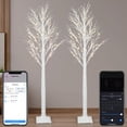 thumbnail image 1 of Árbol de abedul inteligente Aoycocr de 6 pies con 120 luces LED, 18 modos, paquete de 2, 1 of 8