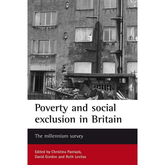 Studies in Poverty, Inequality and Socia Poverty and Social Exclusion in Britain: The Millennium Survey, (Paperback)