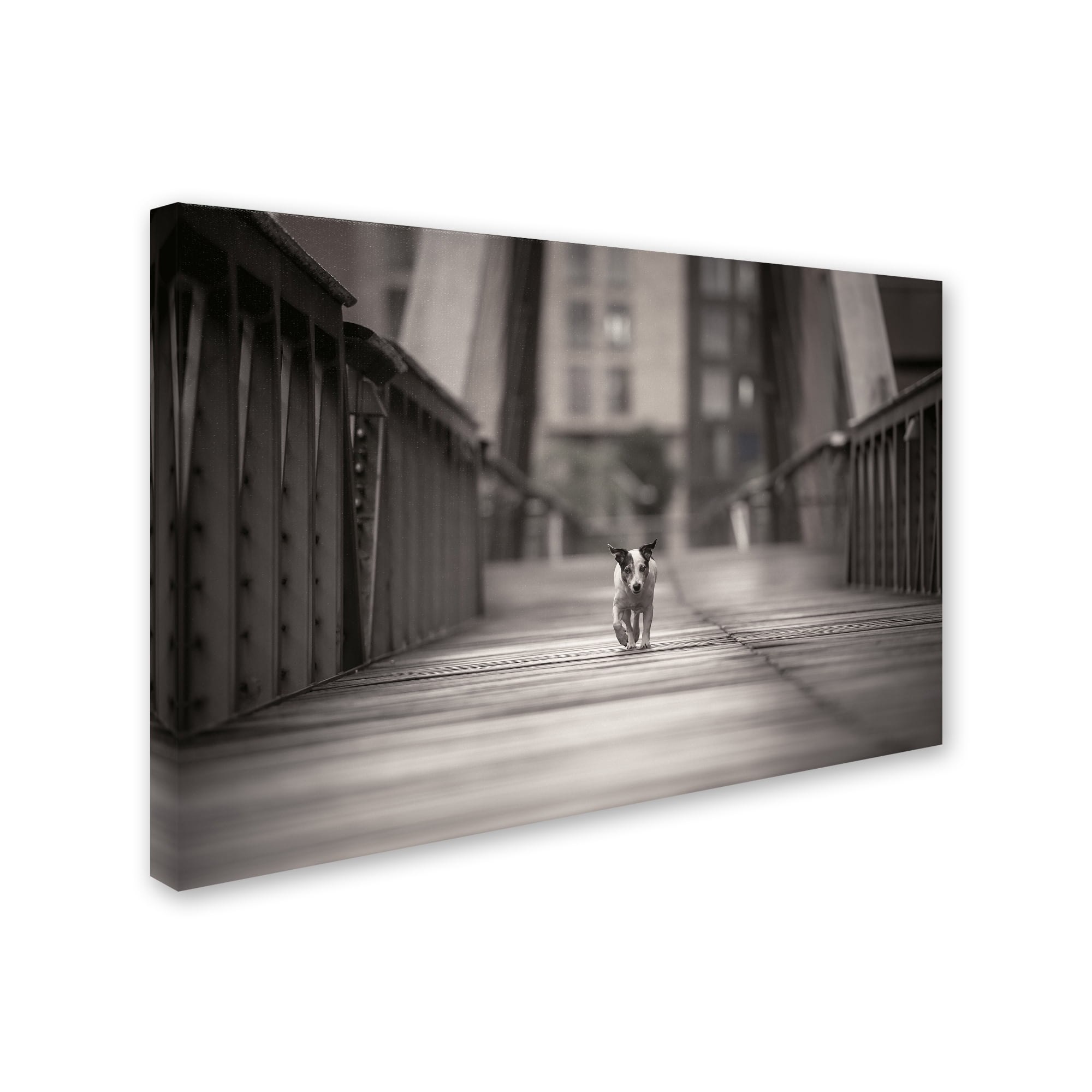 Trademark Fine Art 'You Can Go Your Own Way' Canvas Art by Heike Willers