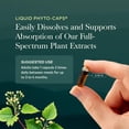 thumbnail image 6 of Gaia Herbs Liver Cleanse - Liver Health Support Herbal Supplement with Milk Thistle, Burdock, Turmeric, Dandelion & More* - 60 Vegan Liquid Phyto-Caps, 6 of 9