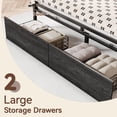 thumbnail image 3 of Satifur Queen LED Platform Bed Frame with Storage Headboard, USB Ports, RGB Lights and 2 Easy-Slide Under Bed Storage Drawers, 3 of 11