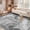 Abstract Dark Gray, variant on SIXHOME 5'x7' Area Rug Abstract Washable Rugs for Living Room Bedroom Carpet Soft Modern Indoor Rug Taupe Gray