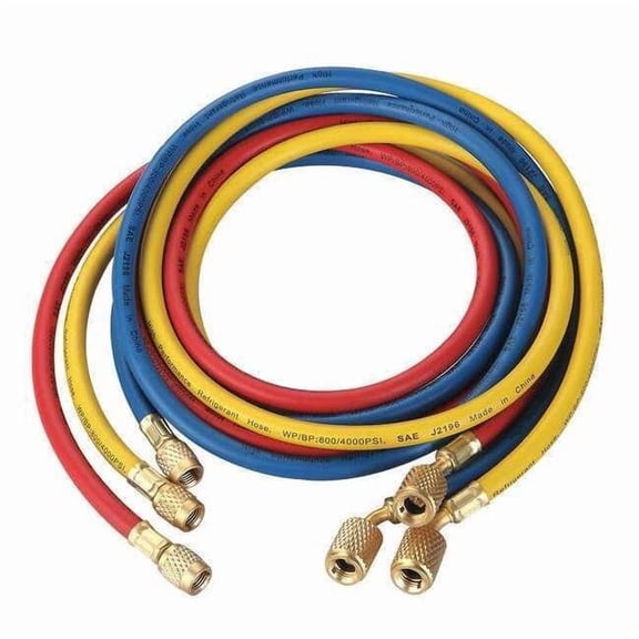 Dayton Hose Set,6 ft L,Blue/Red/Yellow,800 psi 4PDG4