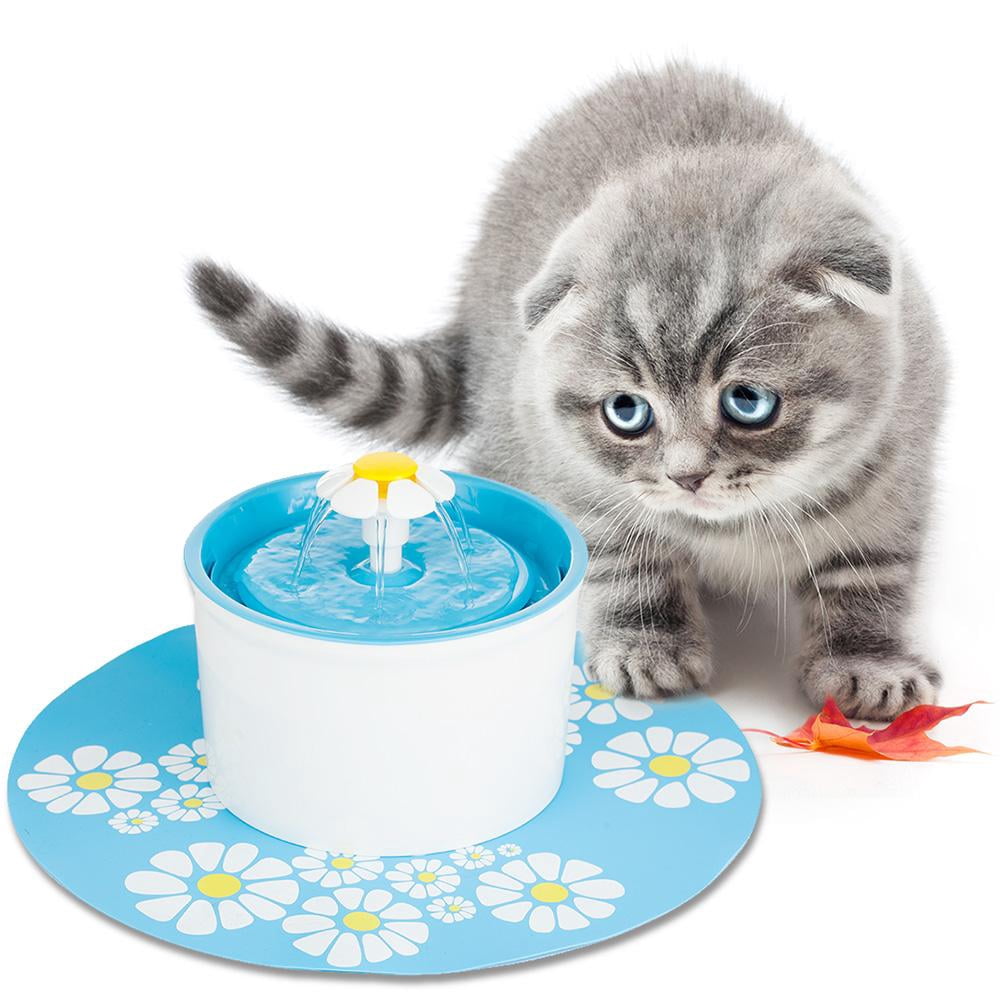cat water fountain walmart