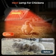 thumbnail image 5 of 250W Chicken Coop Heater for Chicks Ducks, 7.86ft Cord UL Passed Brooder Heating Plate & Heat Lamp Coop House with Adjustable Hanging Height for Livestock Pet Supplies Outdoor Indoor Warmer, 5 of 9