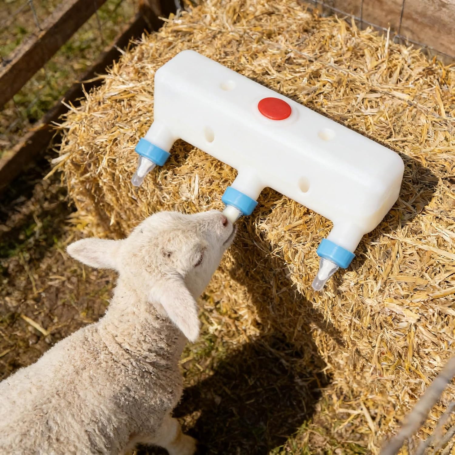 Farm Animal Feeder with 3 Nipple Spouts, 3 Liter Thickened Drinking Bottle, Can be Hung Upside Down, Suitable for Lambs and Piglets