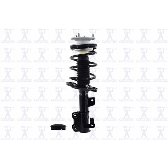 Suspension Strut and Coil Spring Assembly