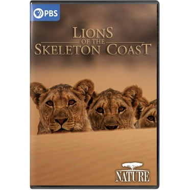 NATURE: Lions of the Skeleton Coast