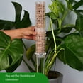 thumbnail image 3 of Youkk 2pcs/set Clear Moss Pole For Plants Versatile And Easy To Stackable Durable And Long-lasting Stackable Moss Pole White 1Set, 3 of 6