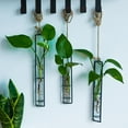 thumbnail image 3 of Glass Hanging Planter, Indoor Outdoor Transparent Test Tube Planter Iron Art Hydroponic Terrarium Container for Home Decor, 3 of 5