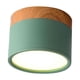 thumbnail image 2 of Lámpara de techo LED de aluminio para sala de estar Verde, 2 of 4