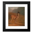 thumbnail image 2 of Jacques-Laurent Agasse 20x23 Black Modern Framed Museum Art Print Titled - Guanaco (ca. 1848), 2 of 5