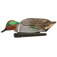 thumbnail image 5 of Avian X Topflight Green-Winged Teal Duck Realistic Floating Decoys, 18 Pack, 5 of 6