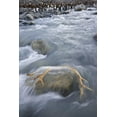 thumbnail image 2 of Paulson, Don 11x14 White Modern Wood Framed Museum Art Print Titled - South Georgia Isl, River by king penguin colony, 2 of 4