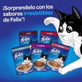 thumbnail image 2 of Snacks Felix Travesuras Salomon 60g, 2 of 7