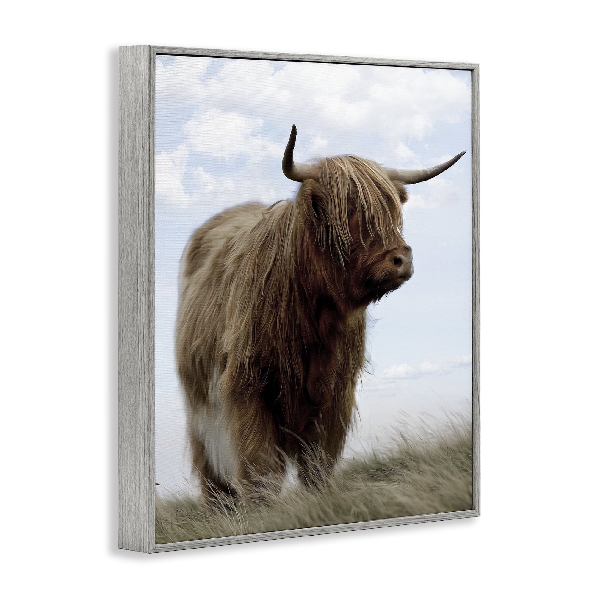 Stupell Industries Restful Look Highland Cattle Gray Framed Giclee Art, design by Marcus Prime