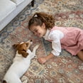 thumbnail image 4 of Area Rugs x for Living Room Machine Washable Rug for Hallway Kitchen Low Pile Print Rug for Bedroom Dining Room Home Office, 4 of 9