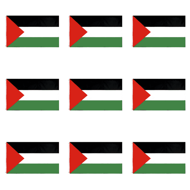 Banner Interior Al Aire Libre 5x3 Pies Nacional Palestina Fiesta Festival
