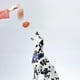 thumbnail image 4 of 5 piezas de juguete para perros, juguete para morder mascotas, huevos de simulación, entrenamiento para perros, juguetes de pelota de rebote (caqui), 4 of 7