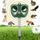 thumbnail image 1 of Repelente ultrasónico para gatos, repelente de gatos para exteriores, repelente solar impermeable para gatos y frecuencia ajustable, con alarma y luces intermitentes para repeler animales dañinos, 1 of 5