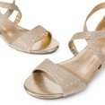 thumbnail image 3 of DREAM PAIRS Women's Ankle Strap Low Wedge Sandals, 3 of 5