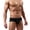 Black, variant on Men\'s Sexy Mesh Modal Triangle Underwear Breathable Solid Briefs Underpants