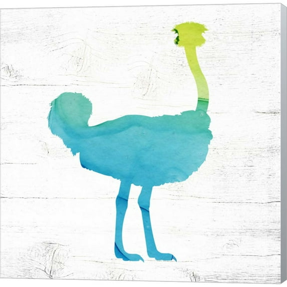 Great Art Now Ostrich by Valerie Wieners, Canvas Wall Art, 12W x 12H
