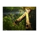 thumbnail image 2 of Fondo de Acuario Colco Static Fish Aquarium S Madera subacuática, 2 of 8
