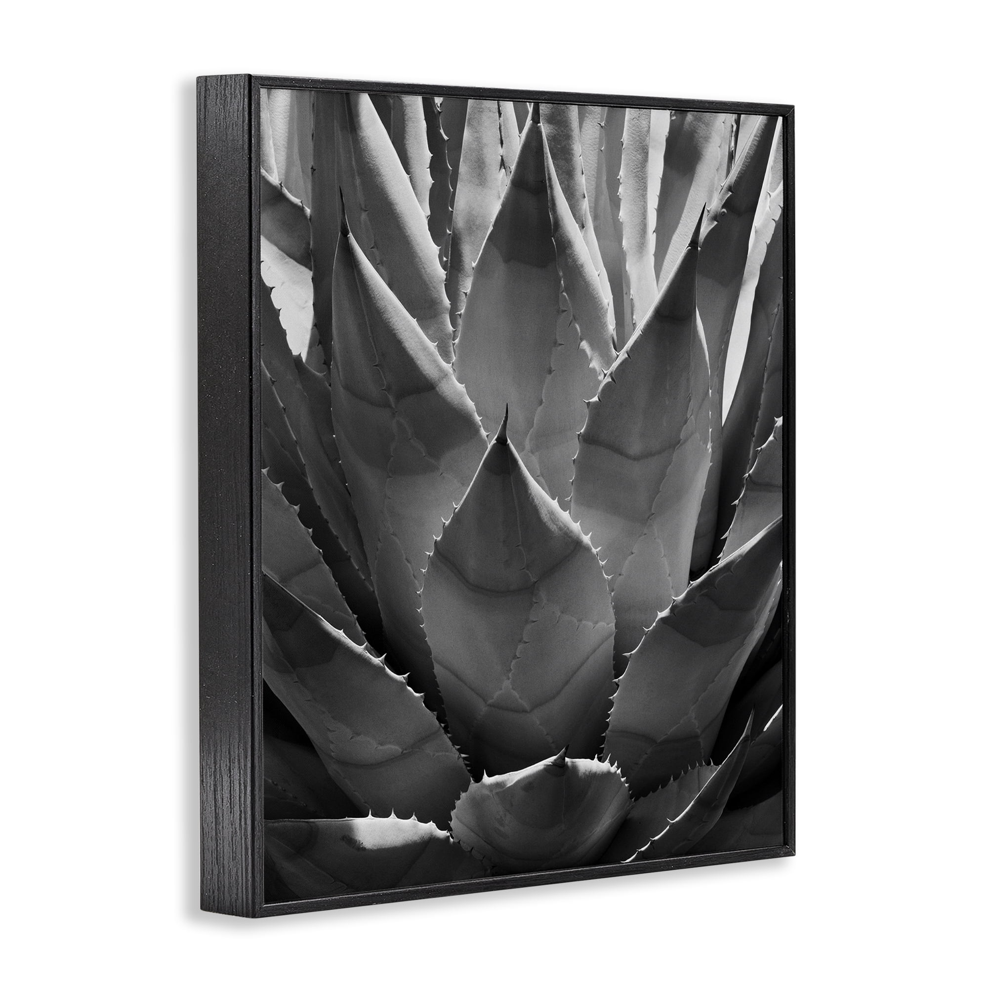 Stupell Industries Desert Plant Detail Botanical & Floral Photography Black Framed Art Print Wall Art, 11 x 14