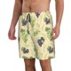 thumbnail image 2 of Fotbe Green And Purple Grapes Trajes de Baño Estampados para Hombre, Shorts de Verano de Secado Rápido, Ropa de Playa, Bañadores-X-Large, 2 of 6