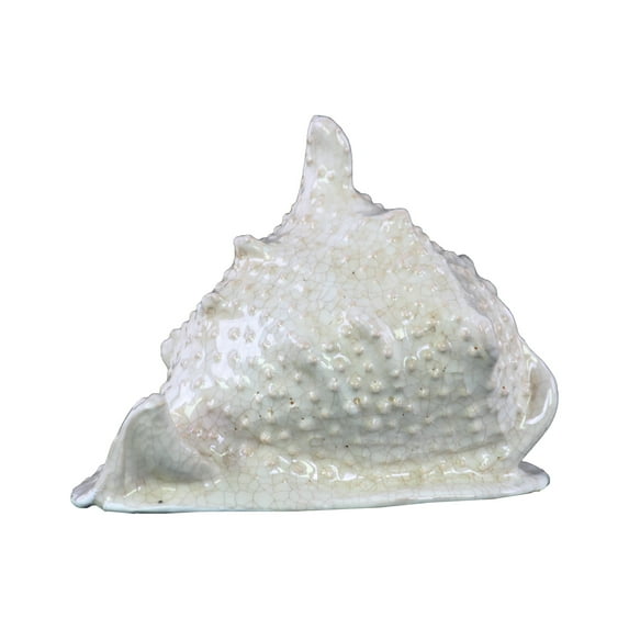 Urban Trends Collection: Ceramic Seashell Figurine Gloss Finish