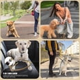 thumbnail image 4 of Elastic Dog Leash Safety Pet Leashes Comfortable Shock-absorbing 360 Swivel Clip For Medium Large Dogs, 4 of 5