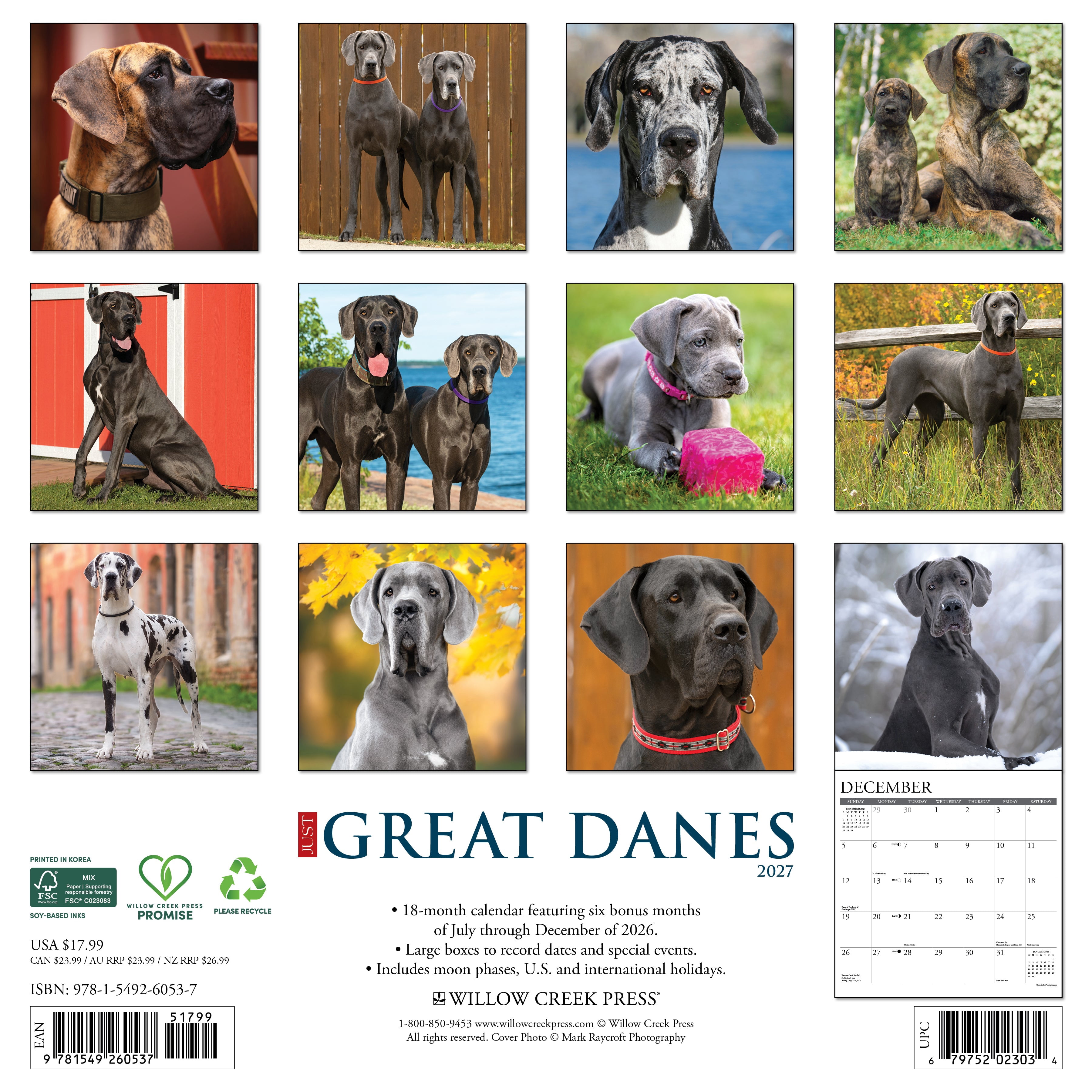 Willow Creek Press, Great Danes 2027 Wall Calendar