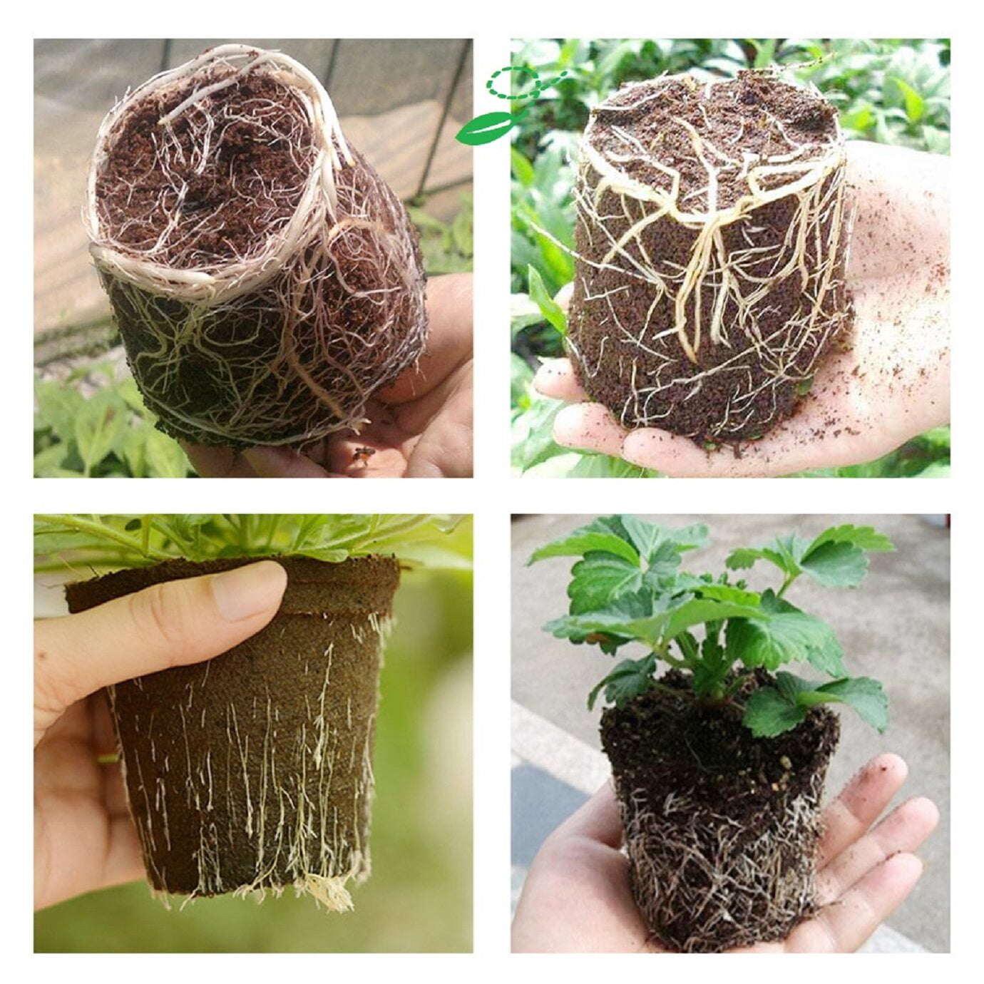 100Pcs Nursery Seedlings, 9.5in Plastic Plant Flowerpots Gardening Pot Planting Containers Cups Seed Starting Flower Container for Succulents, Brick Red
