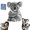 Small, 1pcs, variant on Koaly - The Koaly Emotional Healing On Demand, Ultra-Soft Koala Ai Plush Mimics, Relief Koala Bear, Mimics Natural Movements for Realistic Comfort, Offers Endless Snuggles