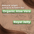 thumbnail image 6 of Tio Nacho Aloe Vera Deep Repair Conditioner, Value 3 Pack, 14 oz, 6 of 8