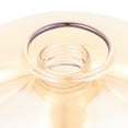 thumbnail image 3 of Shisuyan Ceiling Lampshade Glass Lamp Shade Ceiling Light Mount Fixture Decorative Light Cover(G9), 3 of 9