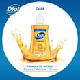Dial Complete Antibacterial Liquid Hand Soap, Gold, 7.5 fl oz