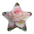 thumbnail image 2 of Star Shaped Energy Saving Night Light Living Room Night Light, Bedroom Night Light, Corridor Night Light, Study Night Light A Pink Rose, 2 of 6