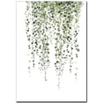 thumbnail image 4 of Wekity Póster impreso en lienzo con hojas verdes, diseño de acuarela, vitalidad simple, decoración de dibujo para el hogar, sala de estar, dormitorio, oficina (juego de 4 sin marco,, 4 of 5