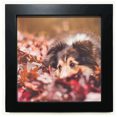 thumbnail image 1 of Dog Pet Animal Photo Black Square Frame Picture Wall Tabletop, 1 of 3