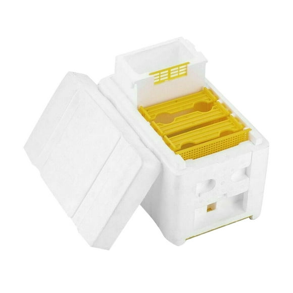 Beekeeping Tools, Beehive Beekeeping Box Pollination for Beekeeping Beekeeping Supplies, Beekeeping Supplies