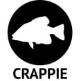 thumbnail image 5 of Northland Tackle Thumper Crappie King, Jig and tail, Freshwater, Silver Shiner, 5 of 7