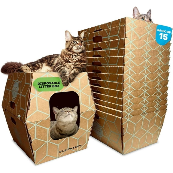 Disposable Litter Box 15 Trays First Patented Tallest Disposable Litter Box Low Entry 19" Lx17 Wx8.5 per tray17 inTALL- Closed Box. Owner Cat Sassy Uses Daily 14 yrs 200lb mat. NO Plastic